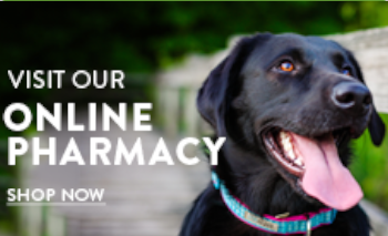 online pharmacy