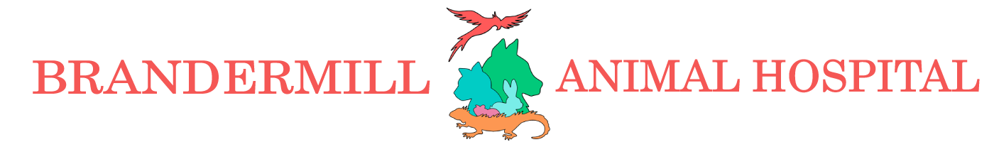 Brandermill Animal Hospital Logo