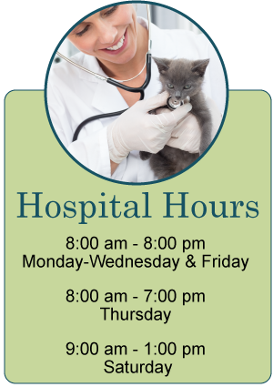 Hours infographic