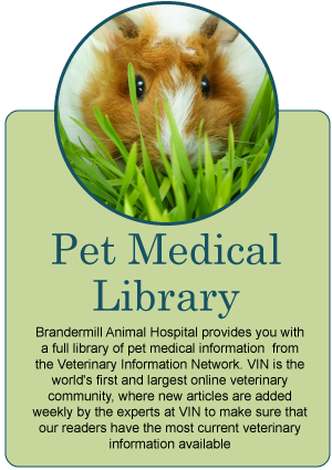 Pet Library infographic